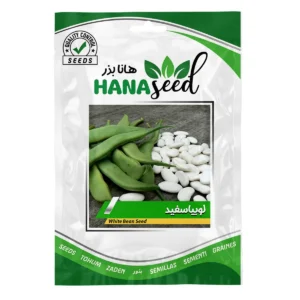 بذر لوبیا سفید
