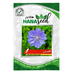 بذر کاسنی
