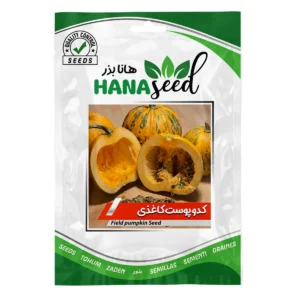 بذر کدو پوست کاغذی