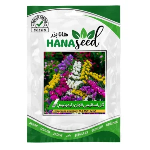 بذر گل استاتیس الوان