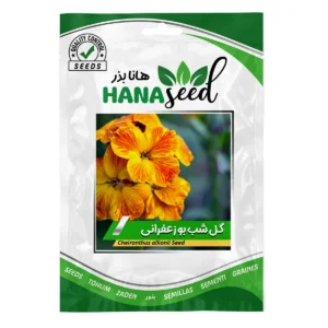 بذر گل شب بو زعفرانی