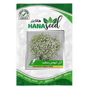 بذر گل عروس سفید